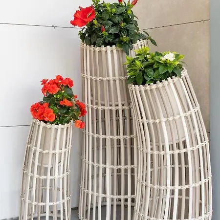 A Oliveira * Vilaboa