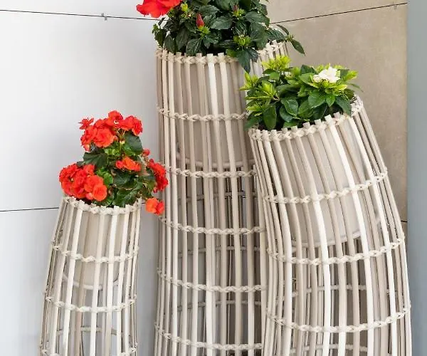 A Oliveira * Vilaboa