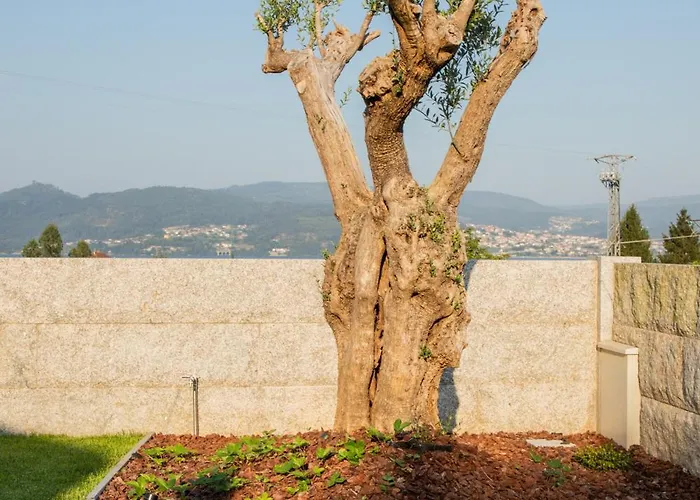 A Oliveira Vilaboa
